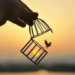 مقوم 24 ساعه